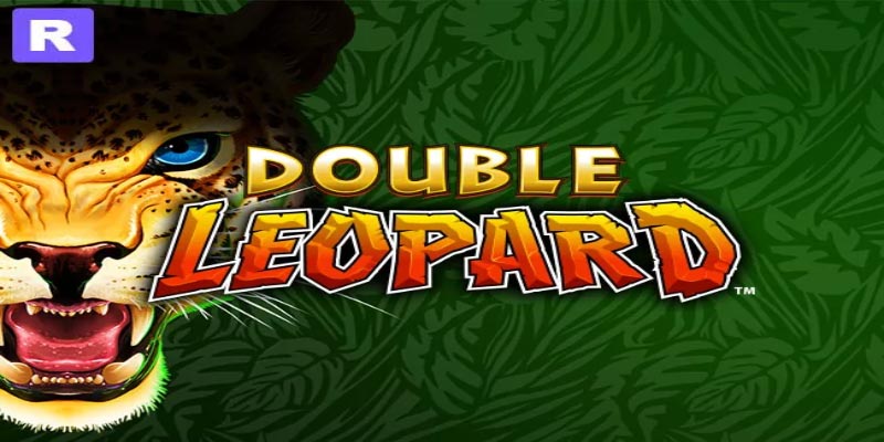 Double Leopard Slot: Exciting Jackpot Game 2025!