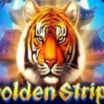 Golden Stripe Slots