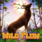 Wild Flow Slot